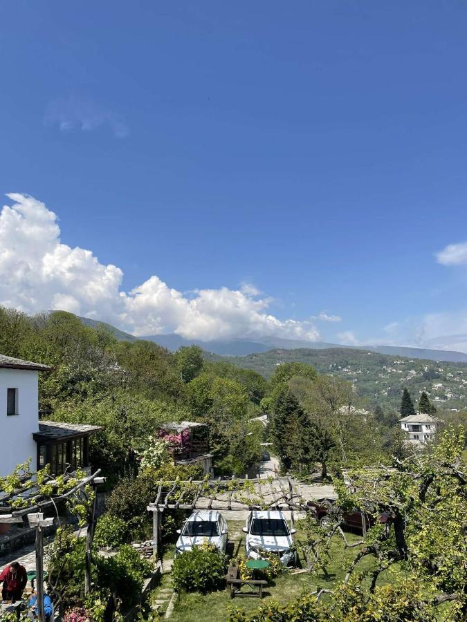 Archontiko Iatridis Hotel Mouresi Ngoại thất bức ảnh