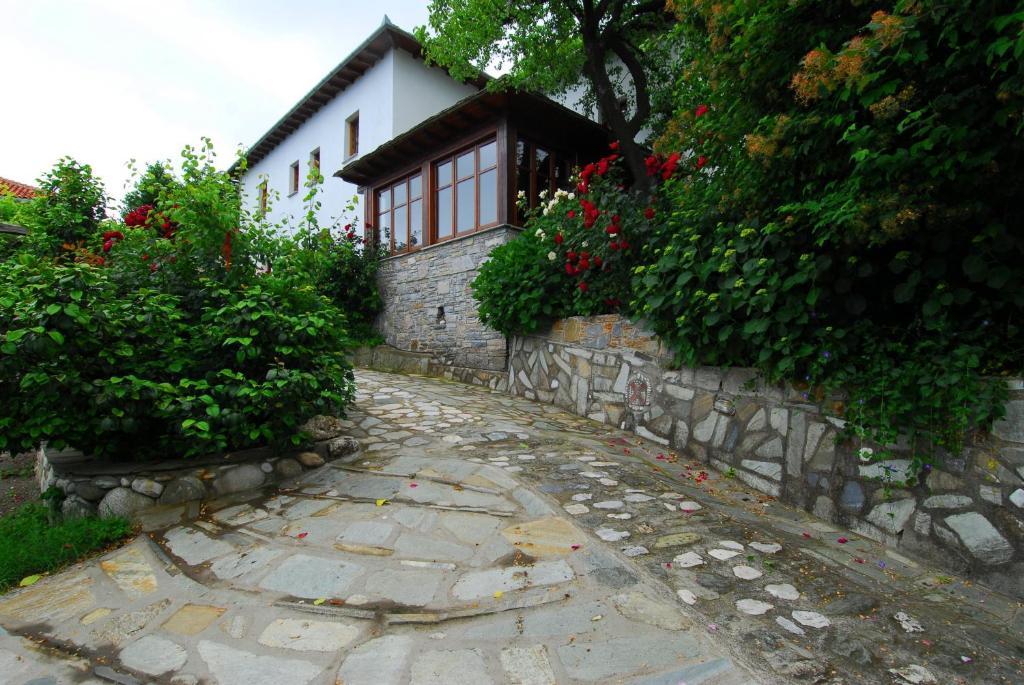 Archontiko Iatridis Hotel Mouresi Ngoại thất bức ảnh